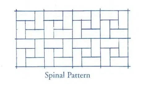 Spinal pattern diagram used in NIS Tools for neural integration and therapy processes.