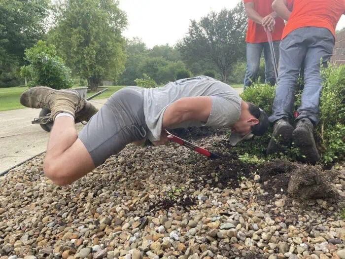Pruning and planting shrubs in a garden with help of professional landscapers, close up outdoor gardening work.