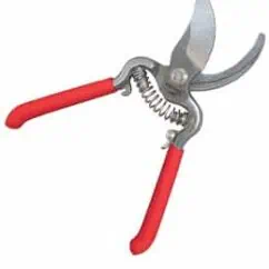 Heavy-duty pruning shears with red handles for gardening and plant maintenance.