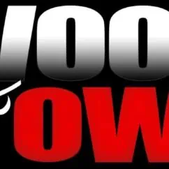 WOOD OWL®