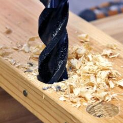 Wood owl Nail chipper in action